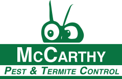 Pest Control Bromley