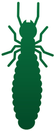 termite pest control st charles